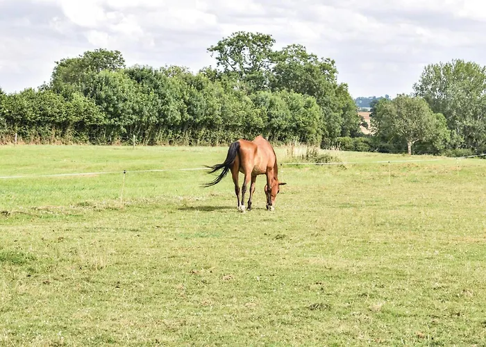 Pet Friendly In Aurseulles Anctoville